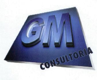GM CONSULTORIA