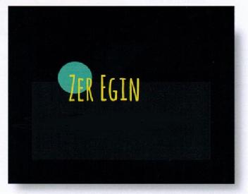 ZER EGIN