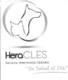 HERACLES SERVICIOS VETERINARIO GLOBALES 