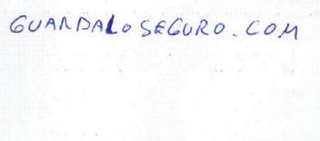 GUARDALOSEGURO.COM