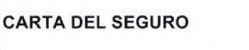 CARTA DEL SEGURO