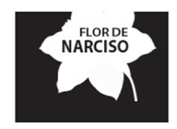 FLOR DE NARCISO