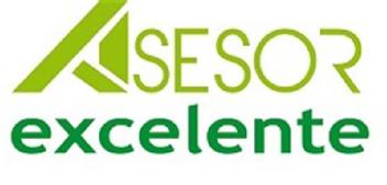 ASESOR EXCELENTE