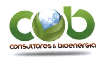 CONSULTORES & BIOENERGIA