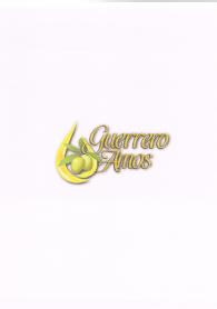 GUERRERO AMOS