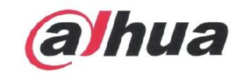 DAHUA