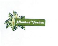 PLANTAS VERDES