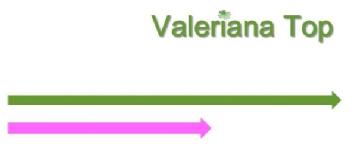 VALERIANA TOP