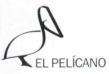 EL PELÍCANO