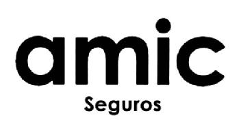 AMIC SEGUROS