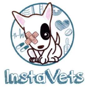 INSTAVETS
