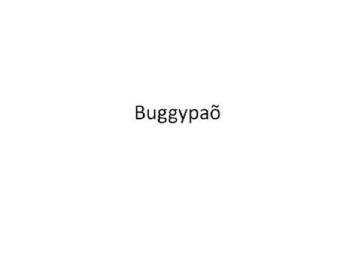 BUGGYPAO
