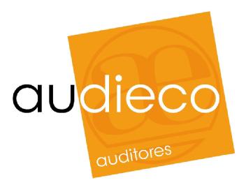 AE AUDIECO AUDITORES