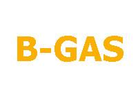 B-GAS