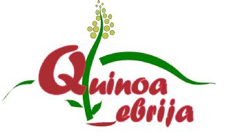 QUINOA LEBRIJA