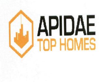 APIDAE TOP HOMES