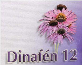 DINAFÉN 12