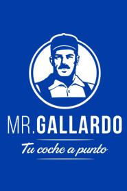 MR. GALLARDO TU COCHE A PUNTO