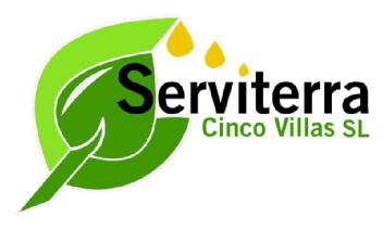 SERVITERRA CINCO VILLAS SL