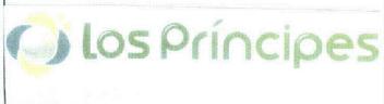 LOS PRINCIPES