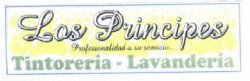 LOS PRINCIPES TINTORERIA-LAVANDERIA