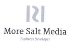 MORE SALT METDIA BUSINESS DEVELOPER