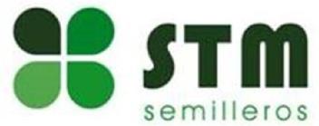 STM SEMILLEROS