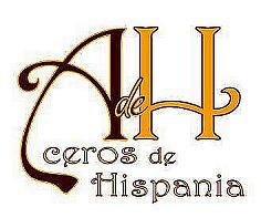 ACEROS DE HISPANIA