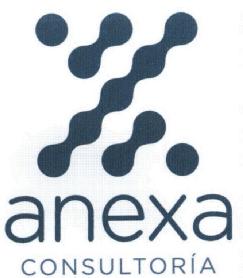 ANEXA CONSULTORIA