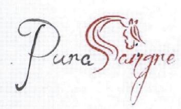 PURA SANGRE