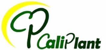 CP CALIPLANT
