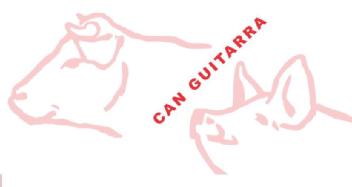 CAN GUITARRA