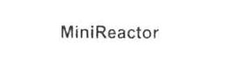 MINIREACTOR