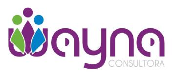 WAYNA CONSULTORA