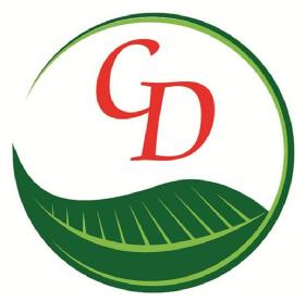 CD