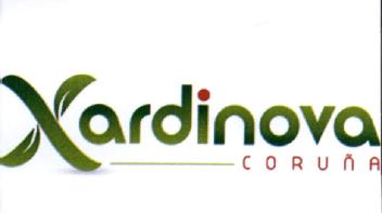 XARDINOVA CORUÑA
