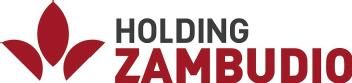 HOLDING ZAMBUDIO