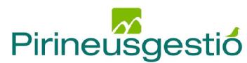 PIRINEUS GESTIO