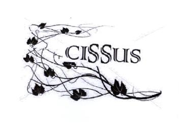 CISSUS