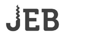 JEB