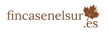 FINCASENELSUR.ES