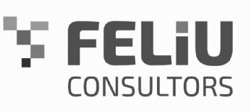FELIU CONSULTORS