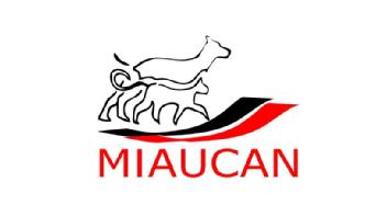 MIAUCAN