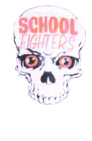 SCHOOL FIGHTERS
