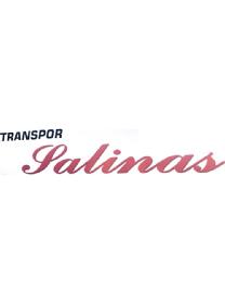 TRANSPOR SALINAS