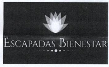 ESCAPADAS BIENESTAR