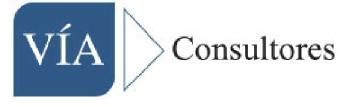 VIA CONSULTORES