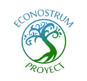 ECONOSTRUM PROYECT