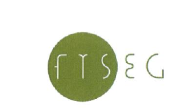 FYSEG