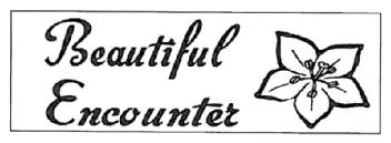 BEAUTIFUL ENCOUNTER